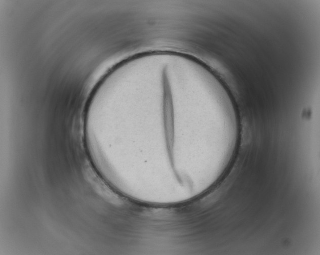 X0000113071280200910091159