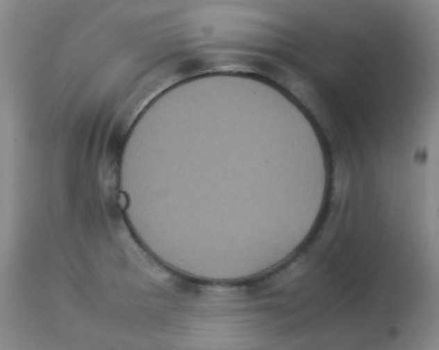 X0000113071281200910091159