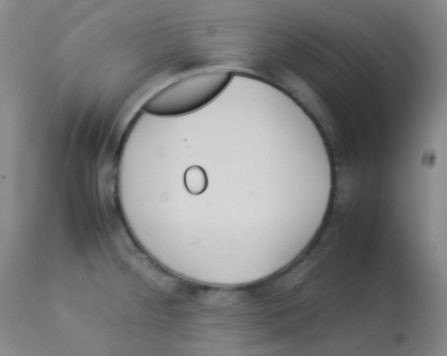 X0000113071284200910091158