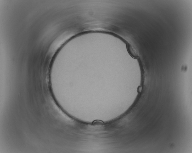X0000113071285200910091158