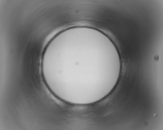 X0000113071286200910091158