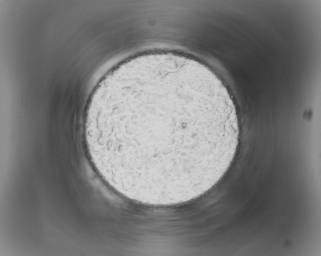 X0000113071287200910091158