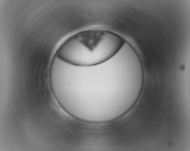 X0000113071288200910091158