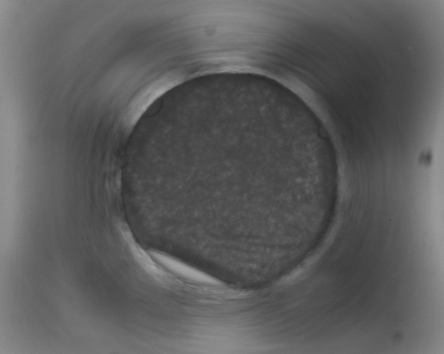 X0000113071289200910091158