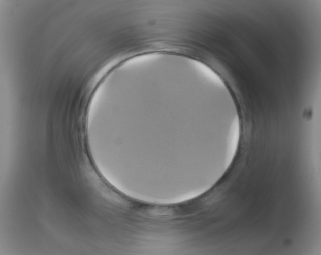 X0000113071291200910091158