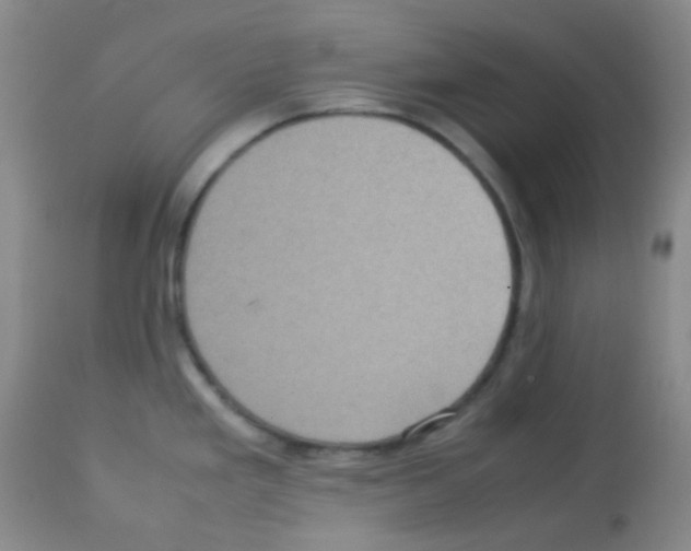 X0000113071293200910091158