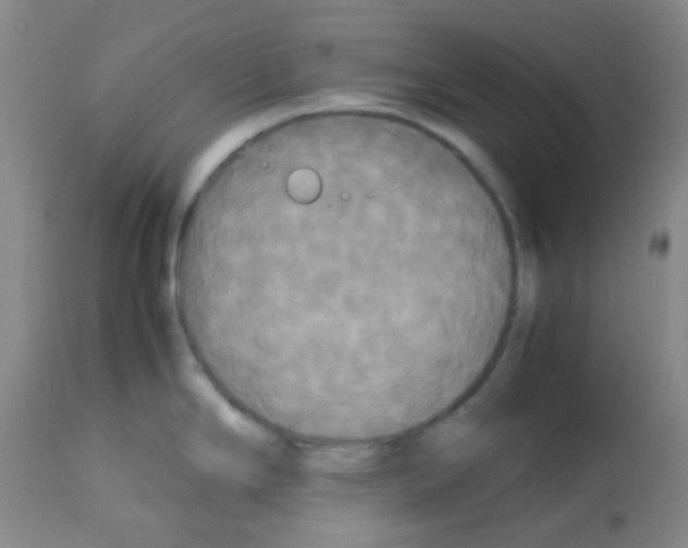 X0000113071294200910091158
