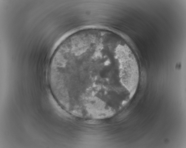 X0000113071295200910091158