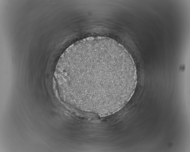 X0000113071297200910091158