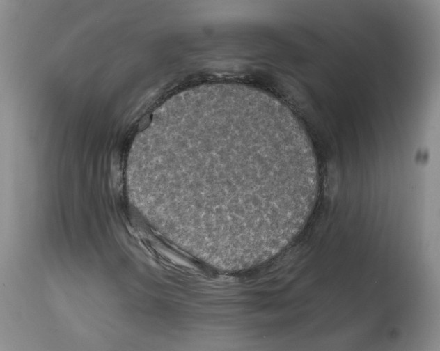 X0000113071298200910091158