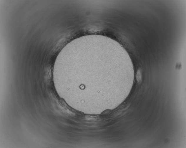 X0000113071299200910091158