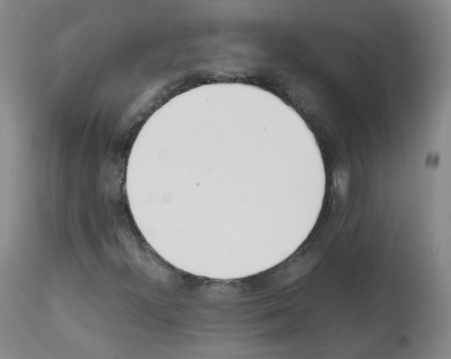 X0000113071300200910091158