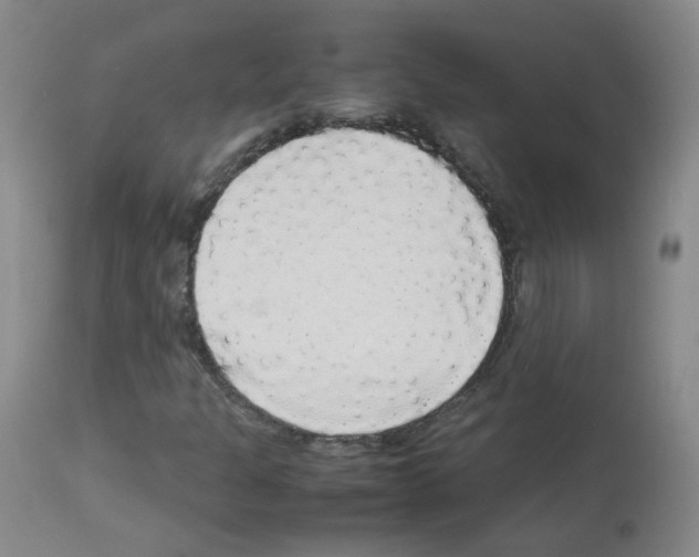 X0000113071301200910091158