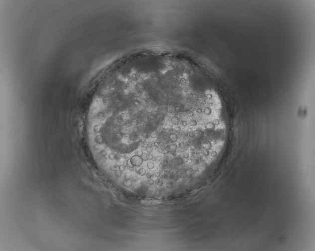 X0000113071302200910091158
