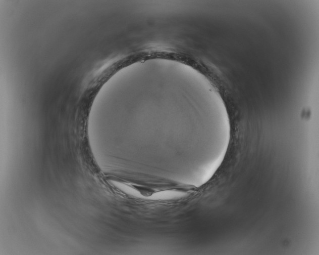 X0000113071303200910091158