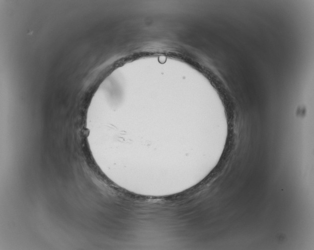 X0000113071304200910091158