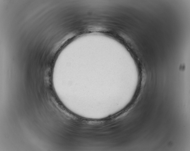 X0000113071305200910091158