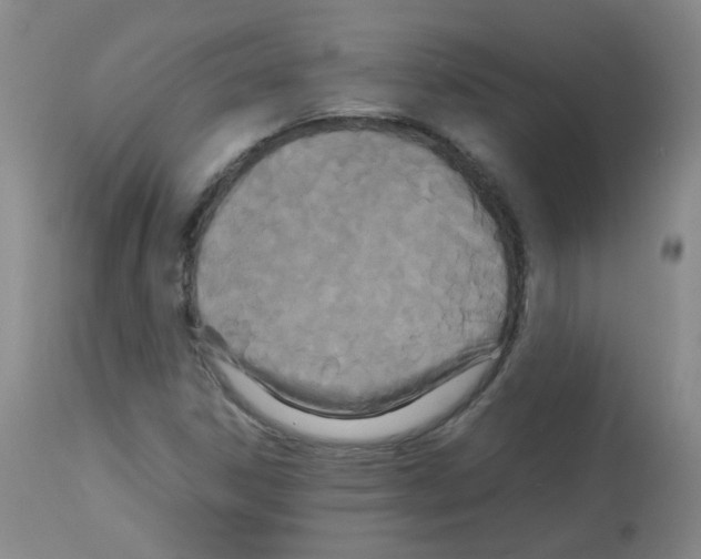 X0000113071306200910091158