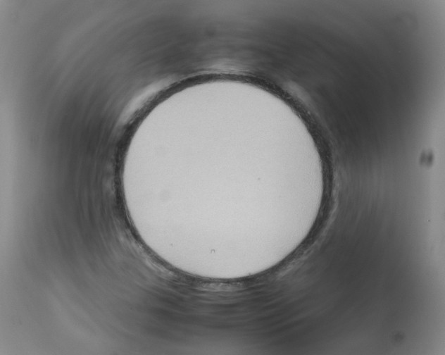 X0000113071307200910091158