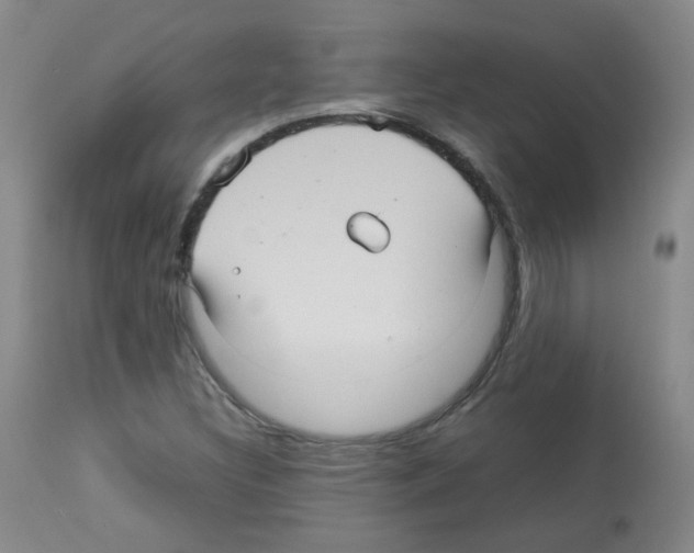 X0000113071308200910091158