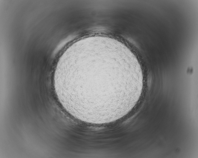 X0000113071309200910091158