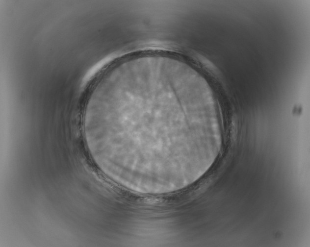 X0000113071310200910091158