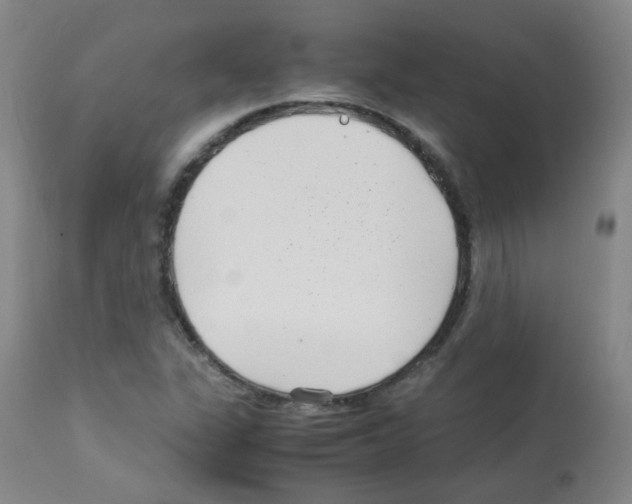 X0000113071311200910091158