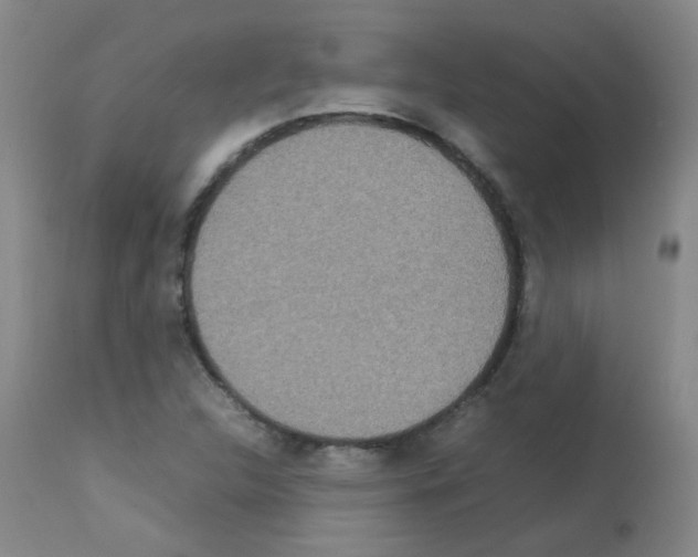 X0000113071312200910091158