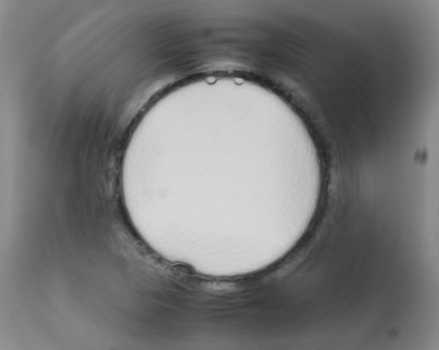X0000113071313200910091158