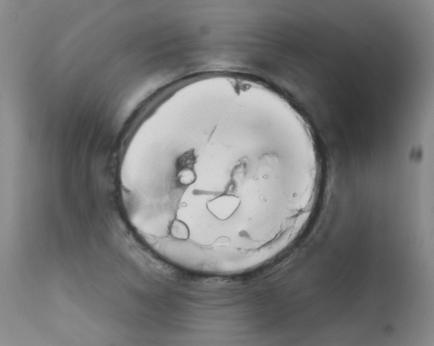 X0000113071314200910091158