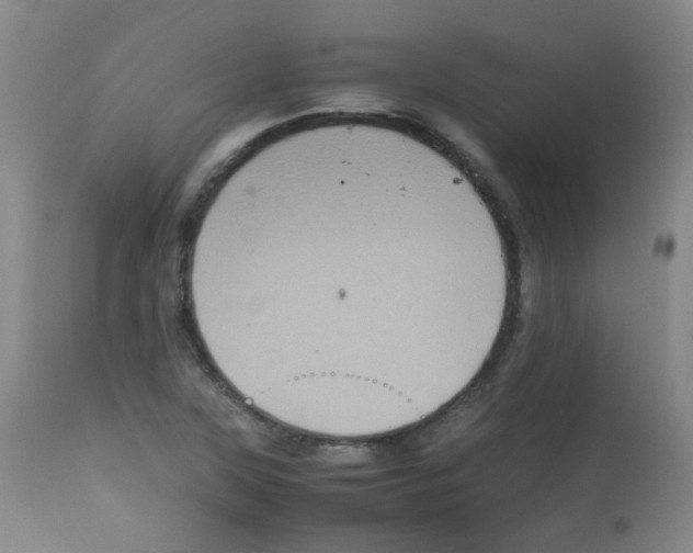 X0000113071315200910091158
