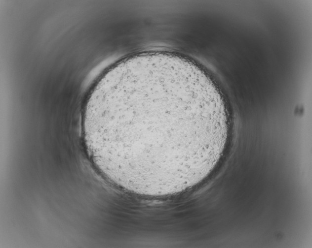 X0000113071317200910091158