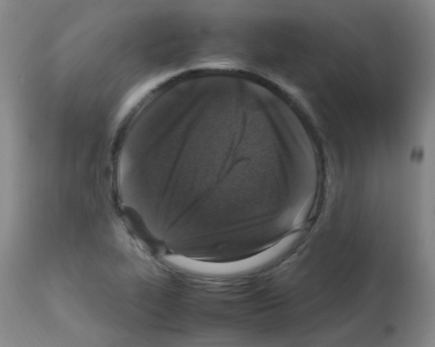 X0000113071319200910091158