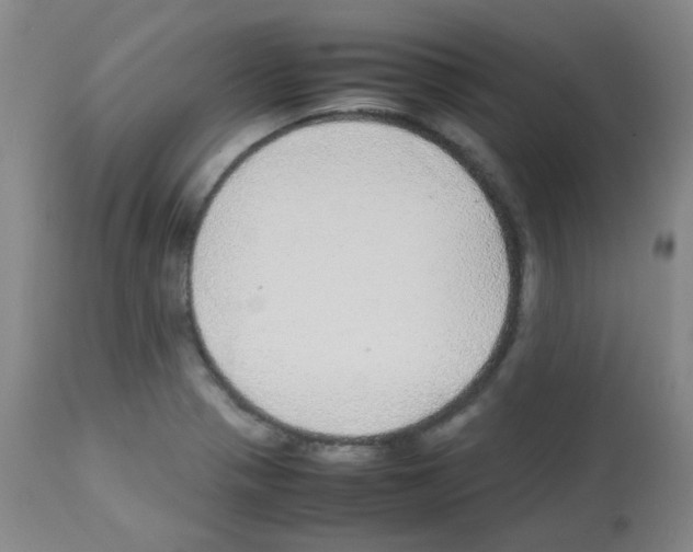 X0000113071321200910091158