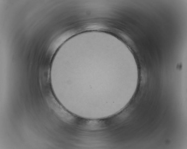 X0000113071322200910091158