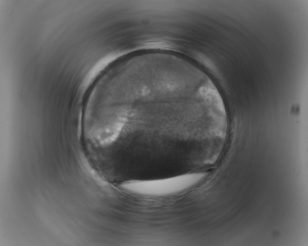 X0000113071323200910091158