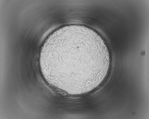 X0000113071325200910091158