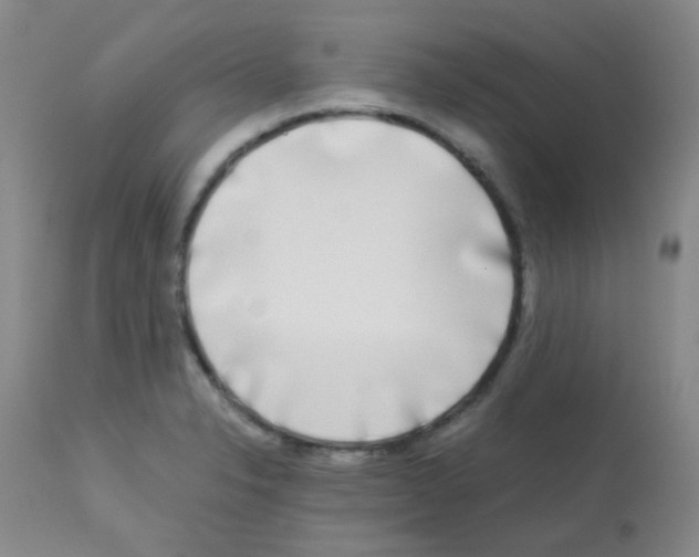 X0000113071326200910091158