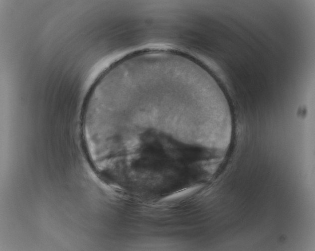X0000113071327200910091158