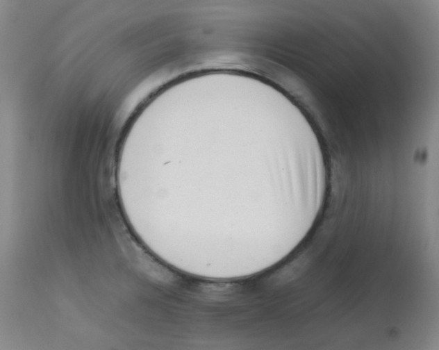 X0000113071328200910091158