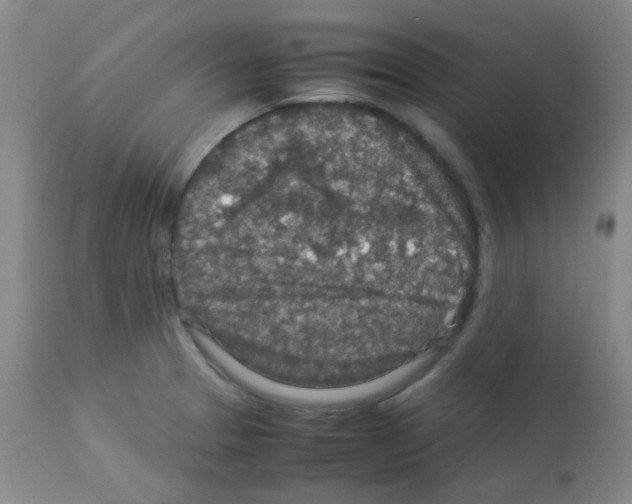 X0000113071329200910091158