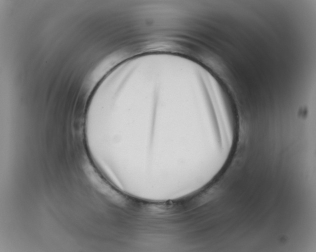 X0000113071330200910091158