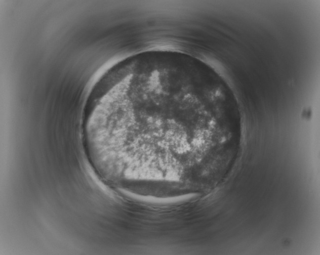 X0000113071331200910091158