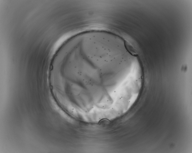 X0000113071334200910091158