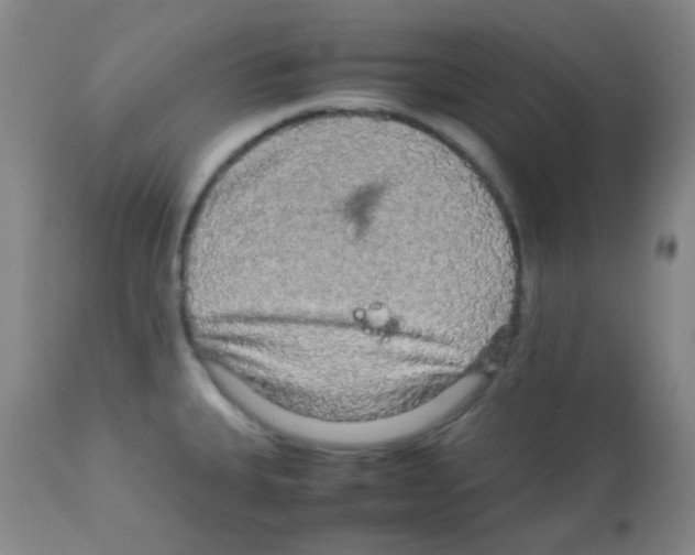 X0000113071335200910091158