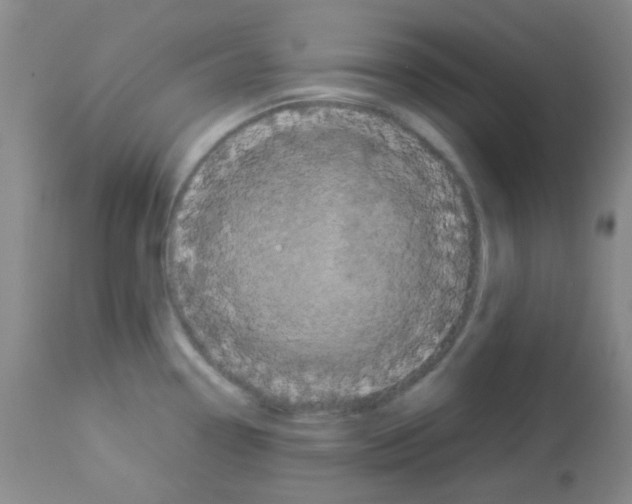 X0000113071338200910091158