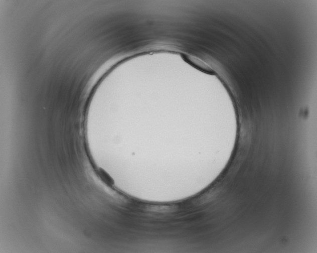 X0000113071339200910091158