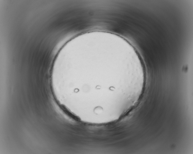 X0000113071341200910091158