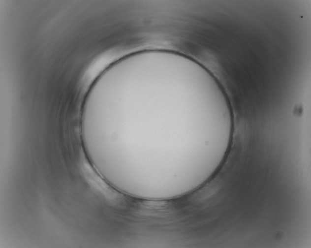 X0000113071342200910091158