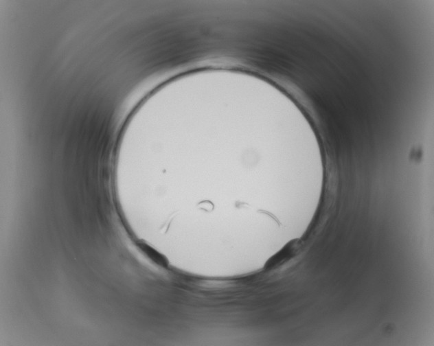 X0000113071343200910091158